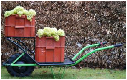 Boxenträger Typ Lastenesel 